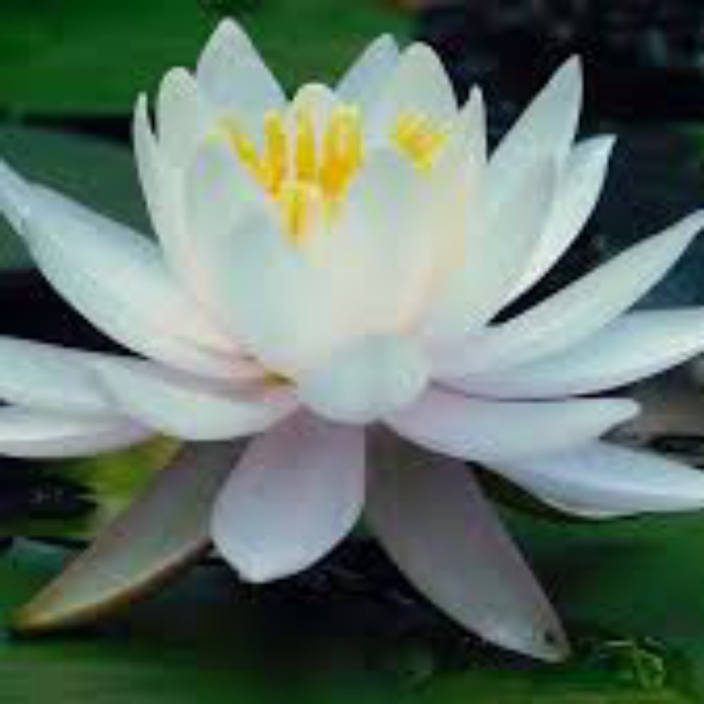 Meet your Posher, Vicki